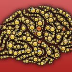 brain